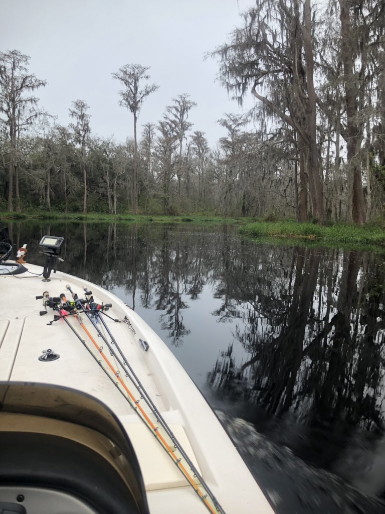 M_J_Fishing's tweet photo. Happy Sunday #ff @1MonsterMission @MarTeaseLures @Lizardkingfish @LowranceFishing @TrapperTackle @QuantumTackle @JacksLures @LEG3NDARYBAITS @SGumpa @XStreamFisher @GloProLures @nextgenbaits @ArtisticVibes2 @BerkleyFishing @FLWFishing @MercuryMarine @WolfPackFish @aaron_tagerson https://t.co/YYtX5fWjJG
