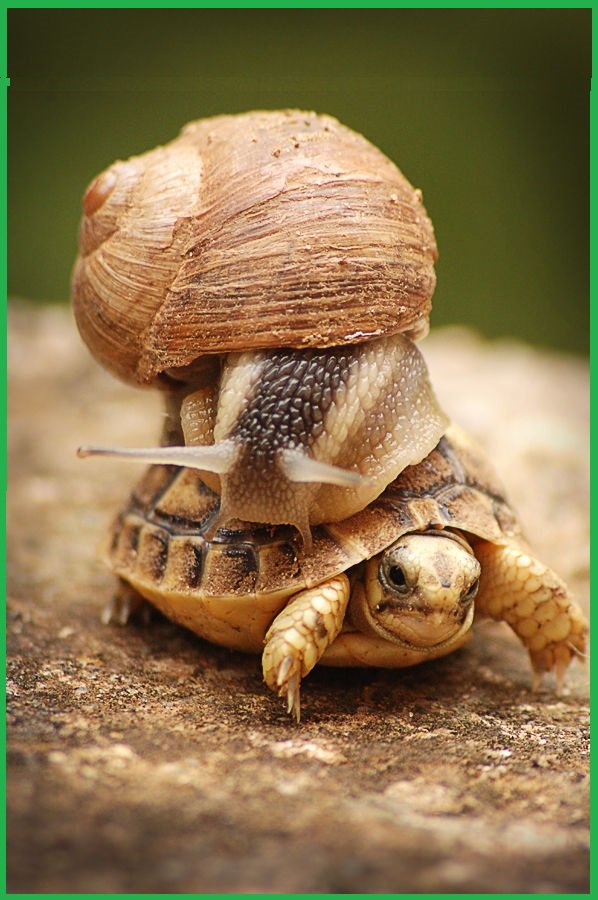 Onze langzaamste bezorging..
Op 25 januari, na hevige sneeuwval, kwam bezorger Youri tijdens het ophalen van een laptop, spectaculaire ten val. Hij kwam er goed voor weg, de laptop wat minder. Maar met een nieuwe behuizing &amp; scherm, deze week eindelijk kunnen bezorgen. #record