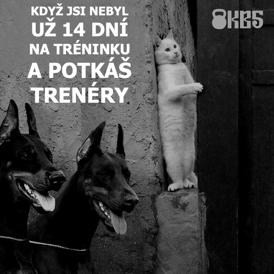 kb5cz's tweet image. Neboj se, nekoušem. 

&amp;gt;&amp;gt;&amp;gt; kb5.cz/zacit

#kb5 #futr #funkcnitrenink #strongfirst #strongfirstcz #strongfirstgym #fitness #posilovna #zdravyzivotnistyl #cviceni #trenink #sila #kondice #motivace #cvicimczsk #crossfit #kettlebell #barbell #posilovani #spartanrace