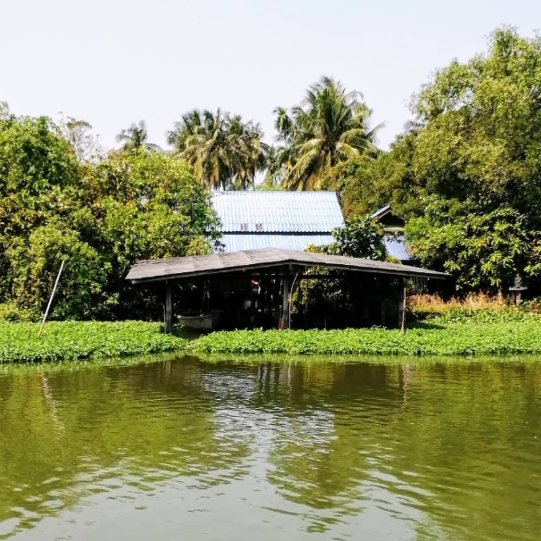 stevekaposi's tweet photo. Houses along the Tha Chin River in #Thailand Could you live here?
See more:
https://t.co/xThE7z55V3
#Bangkok #SteveKThailand 
#TACSThailand #ThaiCountryside
#ThaiEnvironment #ThailandRivers
#TravelThailand #ThailandSights 
#ThailandHouses #ThaiGardens
#houses #rivers https://t.co/ZtkeBUKoGg