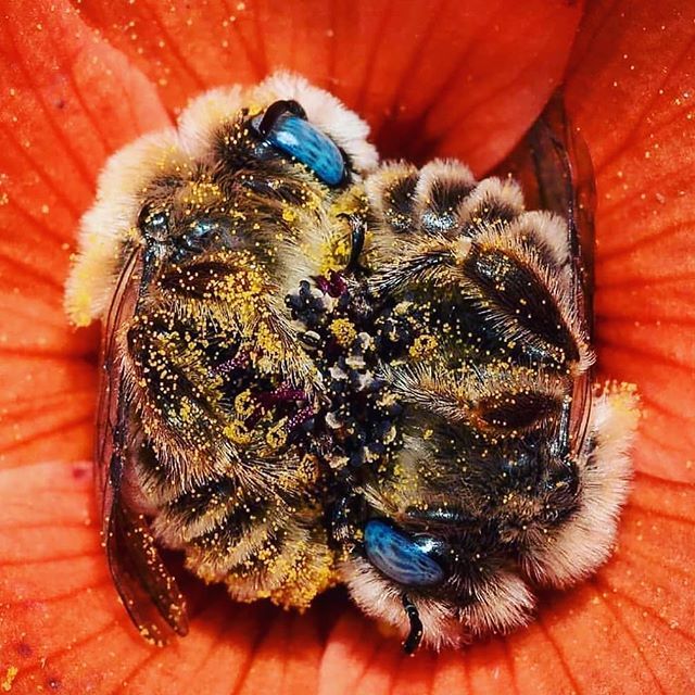 If there existed a perfect clone of you, would it also be you? Would it act in exactly the same manner as you (like a mirror) or would it act differently? If it acted differently then would it still be you? At what point would it not be you?
.
📷 <a href="/sna/">Sna</a>… ift.tt/2IznwUh