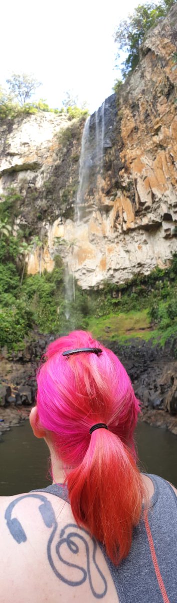 lori_jay's tweet image. Finally got to be THAT person!! #springbrook #scenic #waterfall #travel