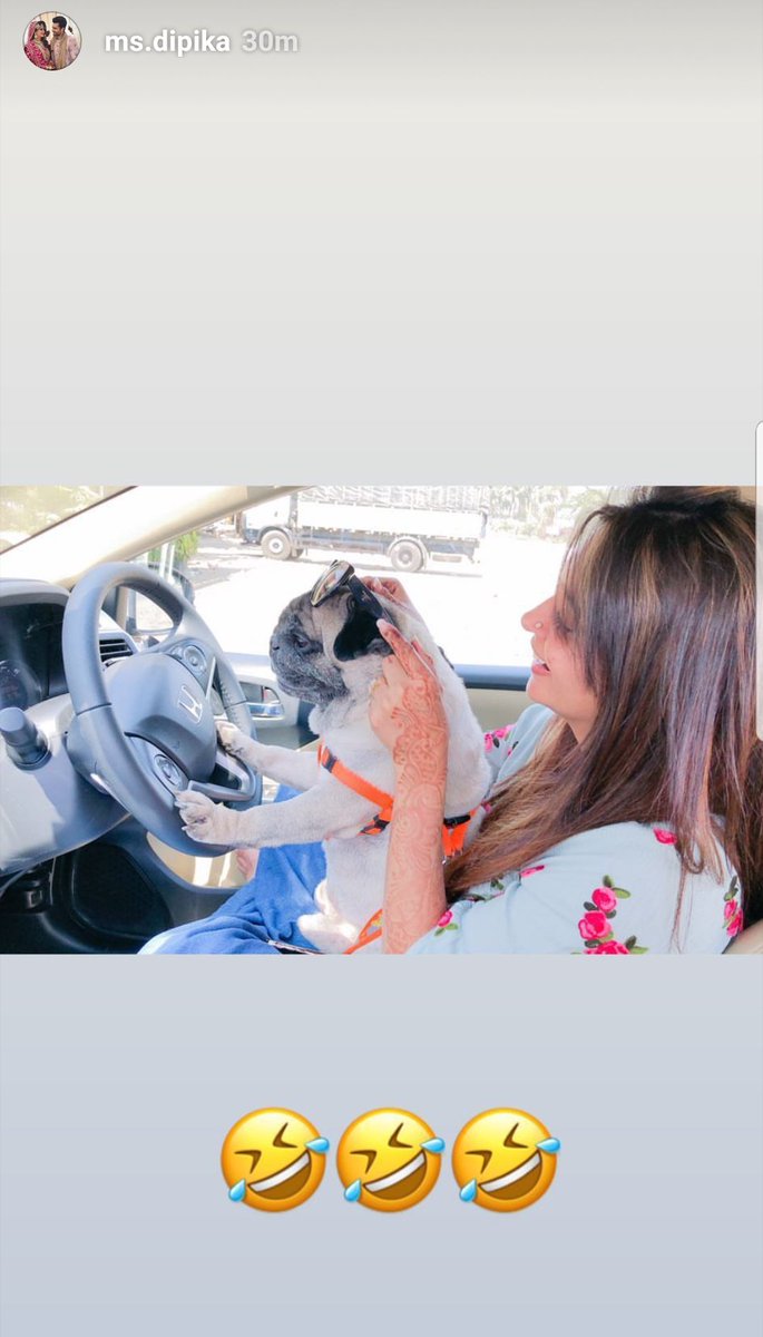 beenie_bun's tweet photo. This is just pure happiness 🙈😍😍♥️♥️ Cuddle😚😚 with dipi❤❤
P.S. Just love to see her smiling💕Keep smiling dipi always🤗
@ms_dipika
@Shoaib_Ibrahim1
#Dipstars
#Cuddlelove
#Shoaika
#stayhappy
#stayblessed https://t.co/7OETdWvf7Z