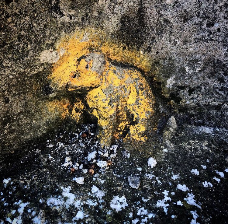 I found “Ziggy the Mouse” on the #folkestone Leas Zig-Zag path yesterday 👀