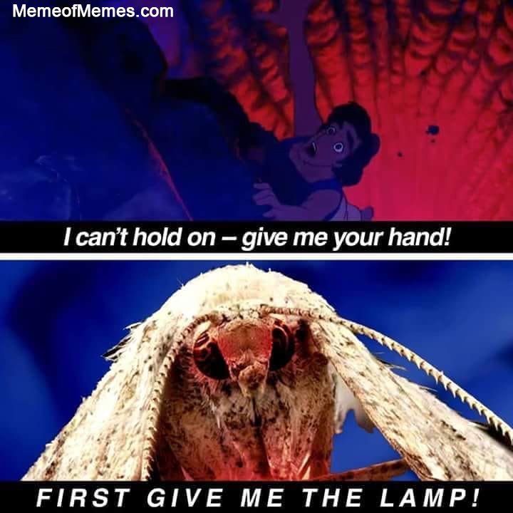 nitrofreak06's tweet photo. Return of the Moth would make a great movie.

#memes #memesdaily #memeofmemes #bringmothback #bringmothhome #mothmeme #holymoth https://t.co/M2TKXuFl38
