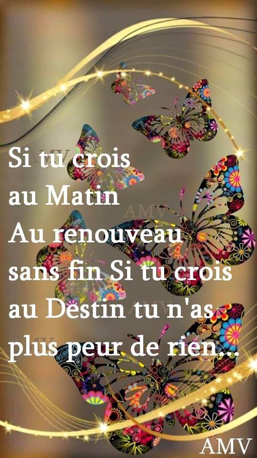 Proverbes Et Citations Citations Web Twitter