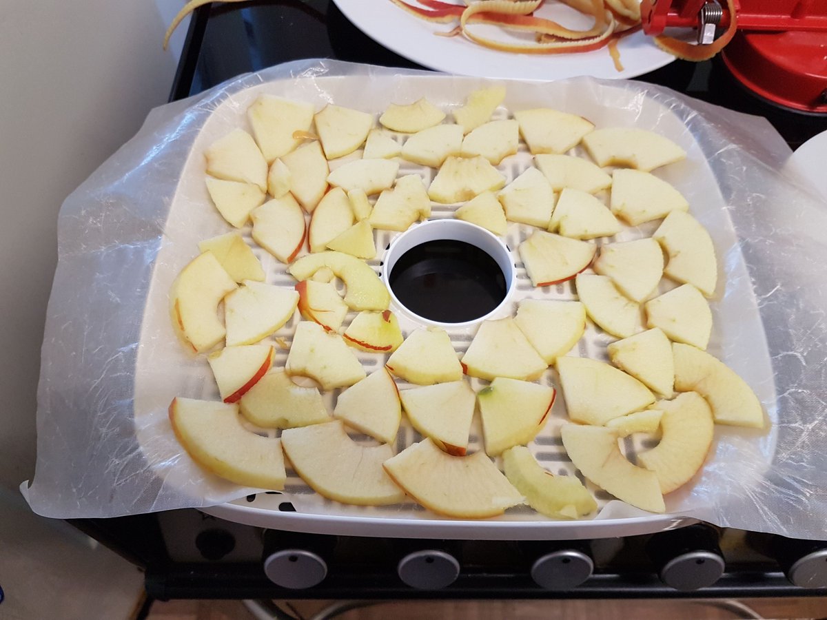 48PercentPreppr's tweet photo. Getting fruit ready for the dehydrator. 

#Prepping #BrexitShambles #Brexit #Preserving https://t.co/wEXOvD8NVt