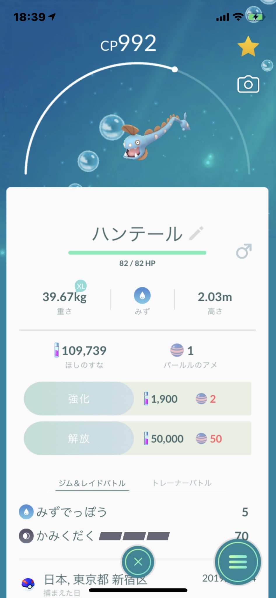 色違いハンテール Twitter Search Twitter