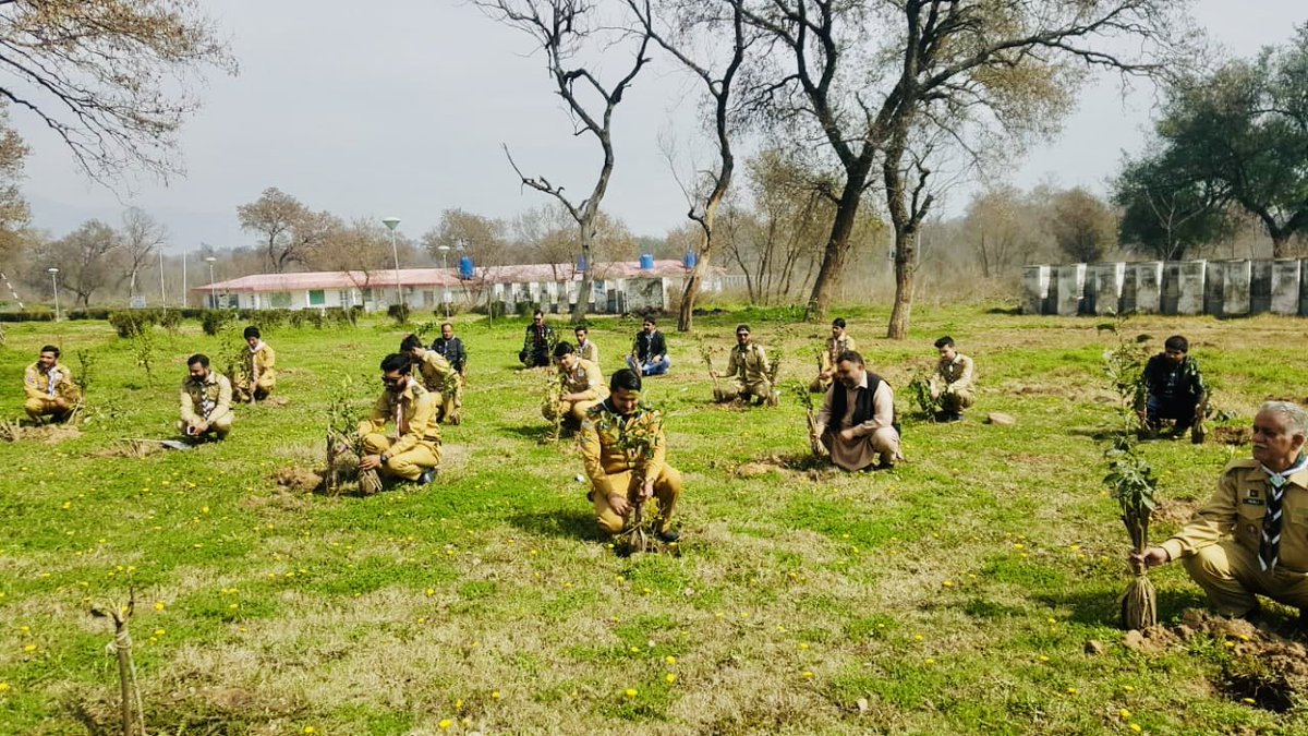 aminattock's tweet image. Boy Scouts at work for 10 #BillionTreeTsunami during #Plant4Pakistan week