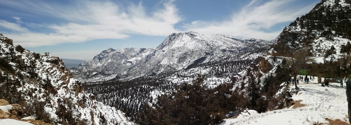 H_deswali's tweet photo. juniper trees... beautifull balochistan #quetta #balochistan #ziyarat #junipertrees #beauty #snow https://t.co/JR9taH7xew
