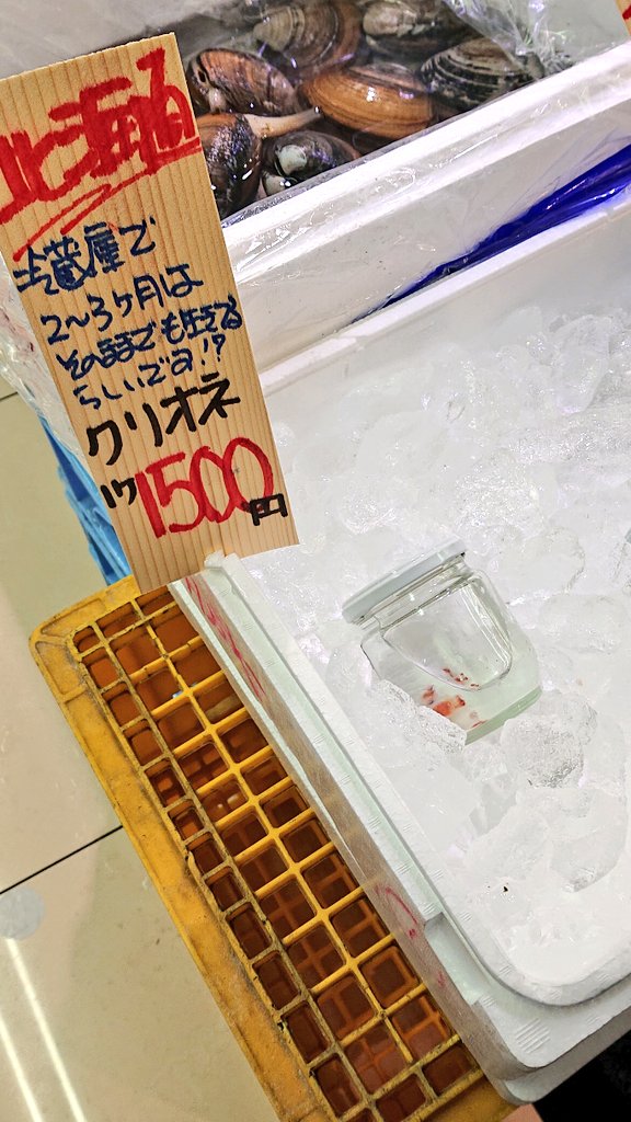 クリオネの瓶詰めって 飼育は冷蔵庫に入れるだけ Marinelovers