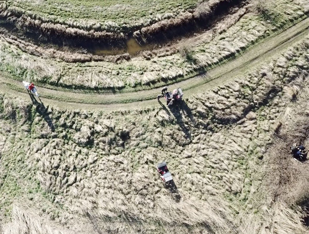 LynneFdF's tweet image. @kent_police @michaelgove @PeterEgan6 @RichardBowler1 @WildJustice_org the hunting act. Not fit for purpose. Studiously ignored by our police. Ashford Valley and Tickham Hunt shoot drone while illegally digging out a fox.#banhuntingwithdogs