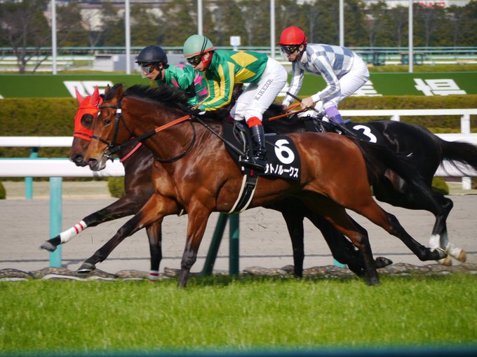 シンイチッス まくり支店 Mtm5656 19年02月 Twilog