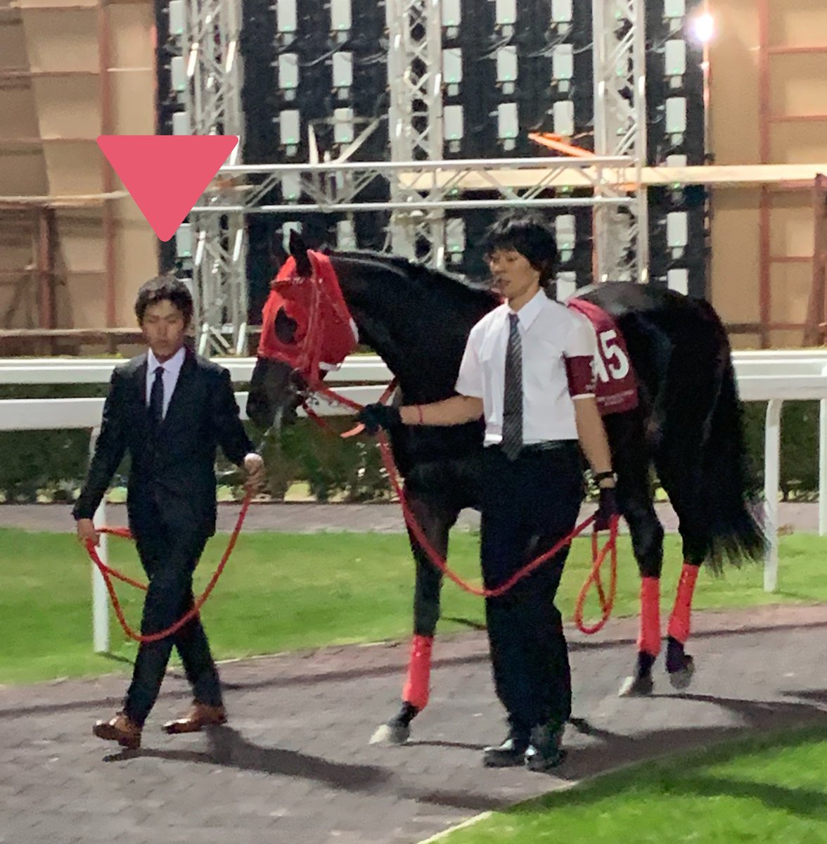 馬の学校★365日バジガク情報⭐競走馬🐴引退馬🐴馬事学院☺️厩務員になるには🏇 on Twitter 馬の学校★365日バジガク情報⭐競走馬🐴引退馬🐴馬事学院☺️厩務員になるには🏇 on Twitter