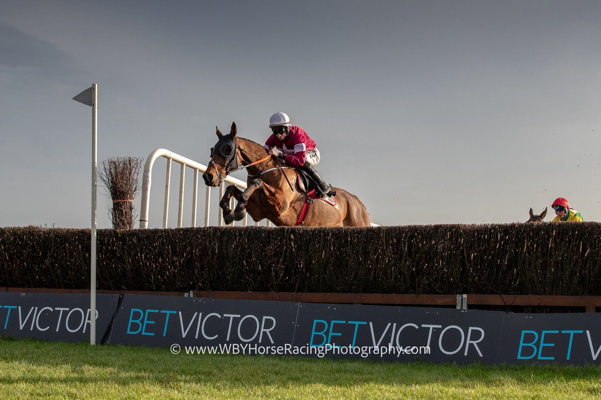 Ohdannyboy77's tweet photo. It was one of those stunning days @Fairyhouse where all types of photography could be done #SlowPan #UnderExpose #StunningSkies #Silhouettes . For those wondering, it's Alpha Des Obeaux jumping the fence
See more at https://t.co/FwDbbqPfat https://t.co/0l8Hk3W88G