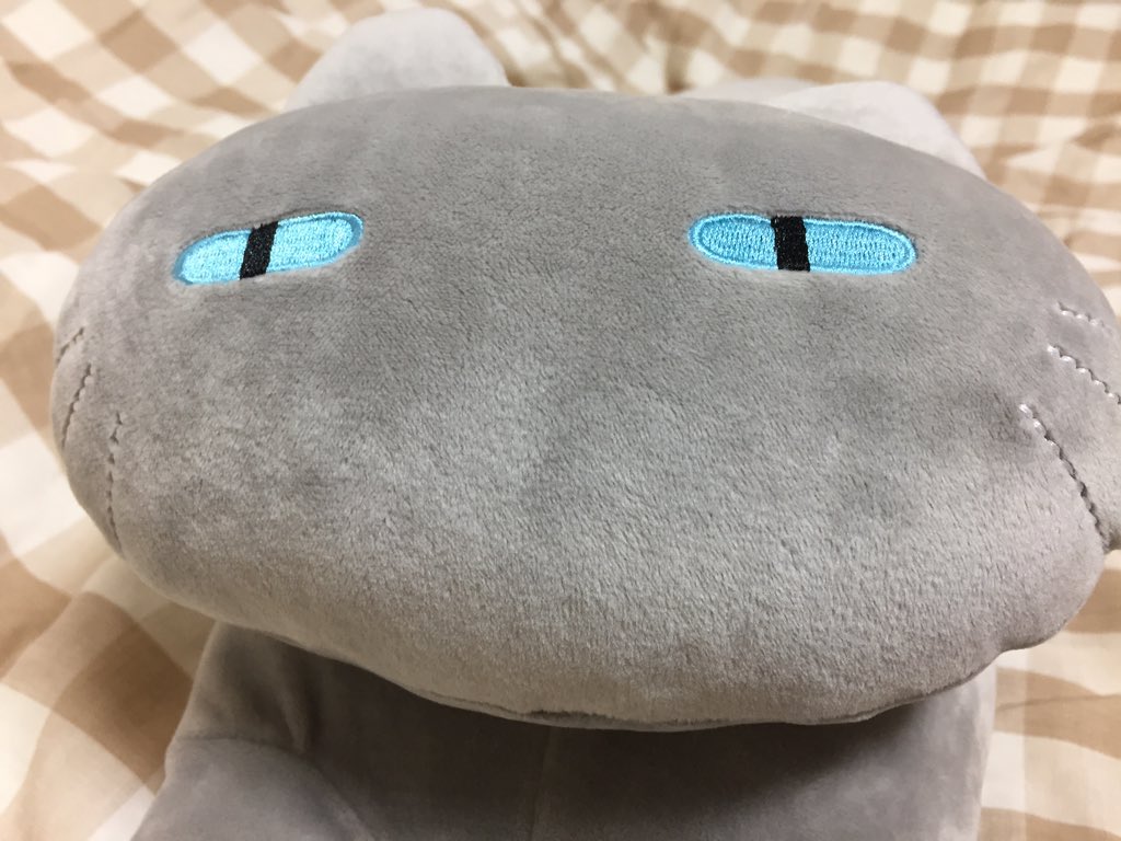 ねこですよろしくおねがいします ニトリデコホームに売っている猫のクッションが目つき悪くて最強に可愛い 見た瞬間会計した Togetter ねこですよろしくおねがいします ニトリデコホームに売っている猫のクッションが目つき悪くて最強に可愛い 見た瞬間会計した Togetter