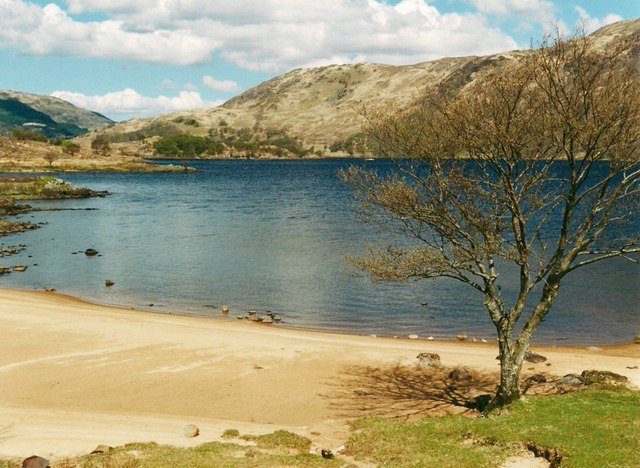Ardtornish tweet media
