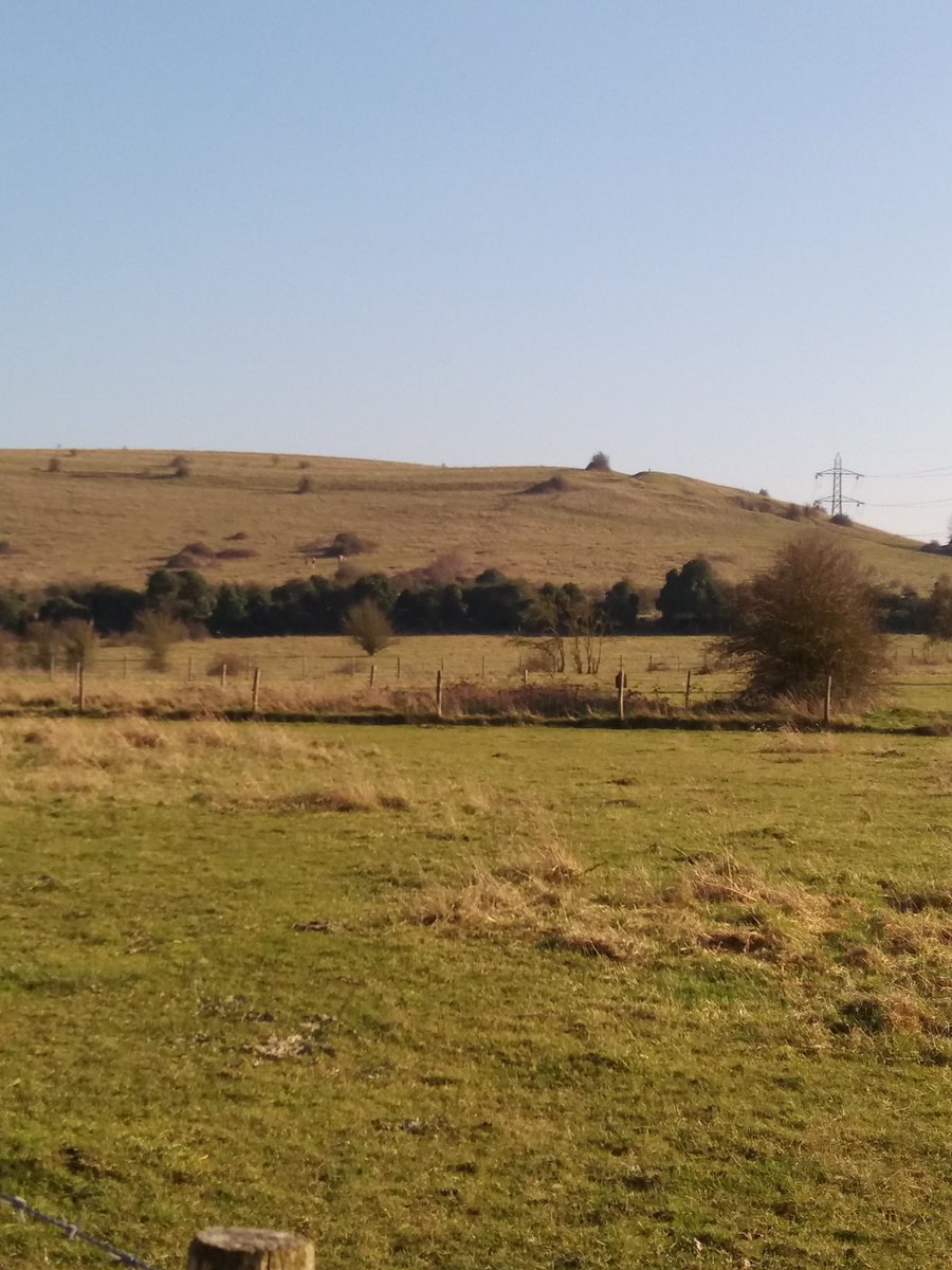 SWDunstable's tweet image. Beautiful day again