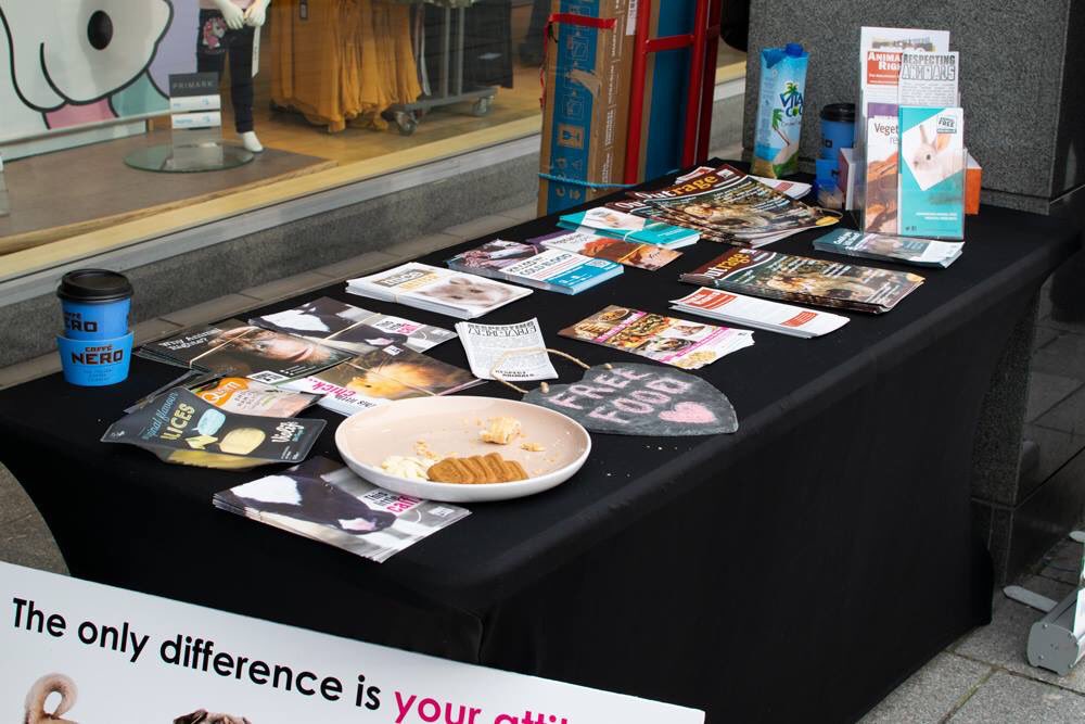 DevonAnimalSave's tweet image. Great outreach stall in Torquay town centre yesterday. Lots of interesting conversations were had and people enjoyed trying violife cheese, quorn ham and chocolate 😋😋