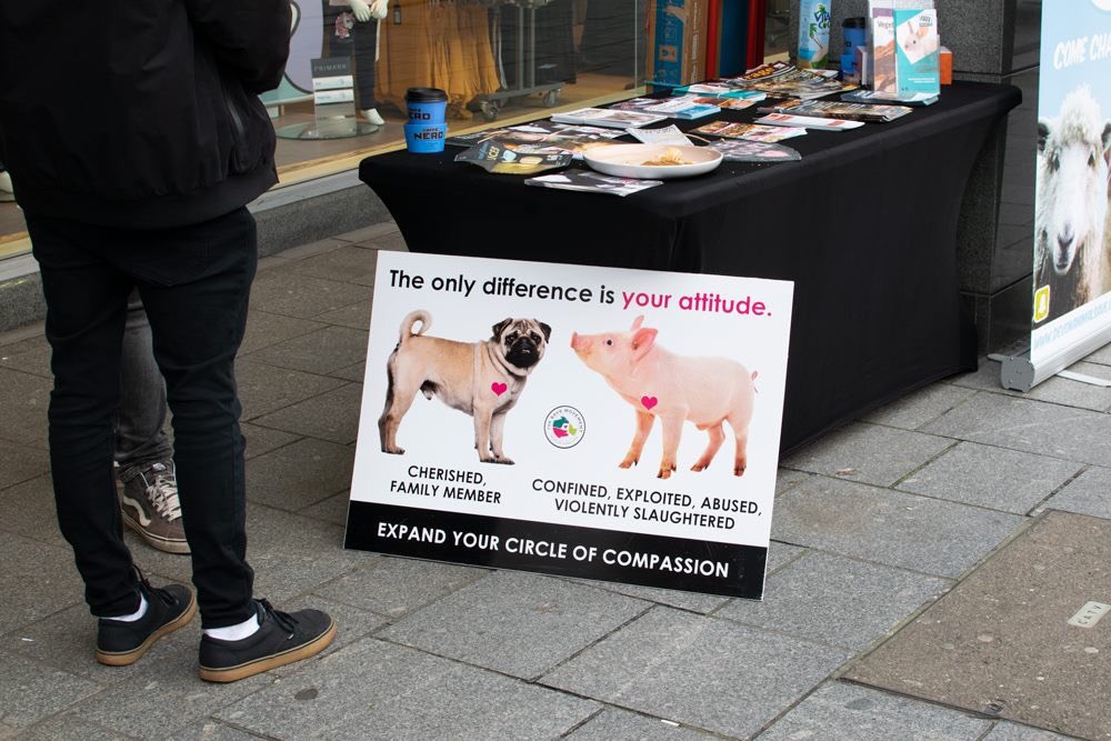 DevonAnimalSave's tweet image. Great outreach stall in Torquay town centre yesterday. Lots of interesting conversations were had and people enjoyed trying violife cheese, quorn ham and chocolate 😋😋