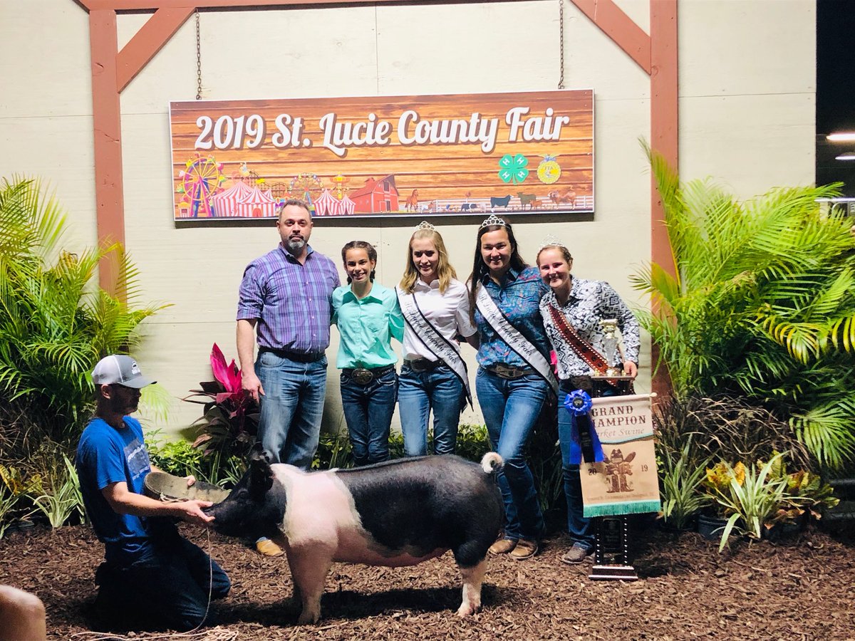 DrawdyJustin's tweet photo. Hard work pays off. Back to Back Grand Champs Come out tomorrow @ 4:00 for the sale and support the youth @ynscspds @TimTebow St. Lucie Fair https://t.co/iUC3vsulTq