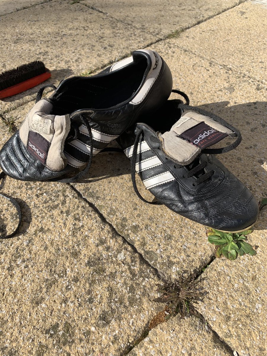 telfox7's tweet image. A little run out today pulled these from the shed #outofretirement #willlast10mins@CAFCTrust