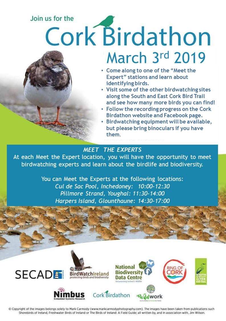 Cork Birdathon is taking place on Sunday 3rd March 2019. Meet the birdwatching experts at Pilmore Strand in Youghal from 11.30am to 2.00pm to learn about birdlife and #biodiversity. Bring binoculars!