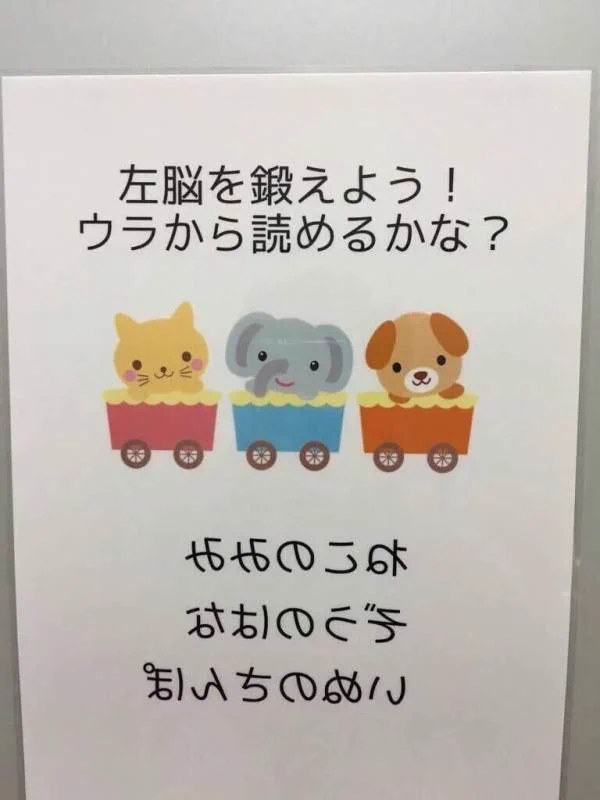 左脳を鍛えよう！って最後のやつ完全に引っ掛けやないかww