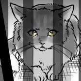 飼われていくにつれて完全に野生を忘れたとろ顔になっていくのがこだわりポイントです…全てのネコチャンがとろ甘になりますように🐈 
