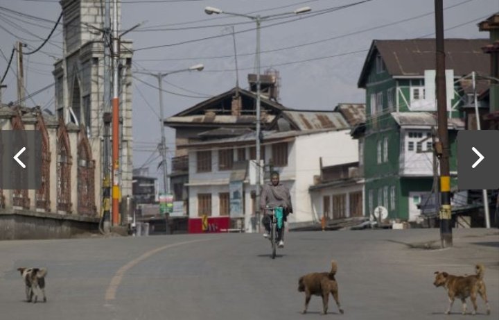 PkTimeline's tweet photo. A complete shutdown was observed in occupied Kashmir on Sunday in protest against mass arrests and violent repression by Indian Forces https://t.co/selqovRUTA