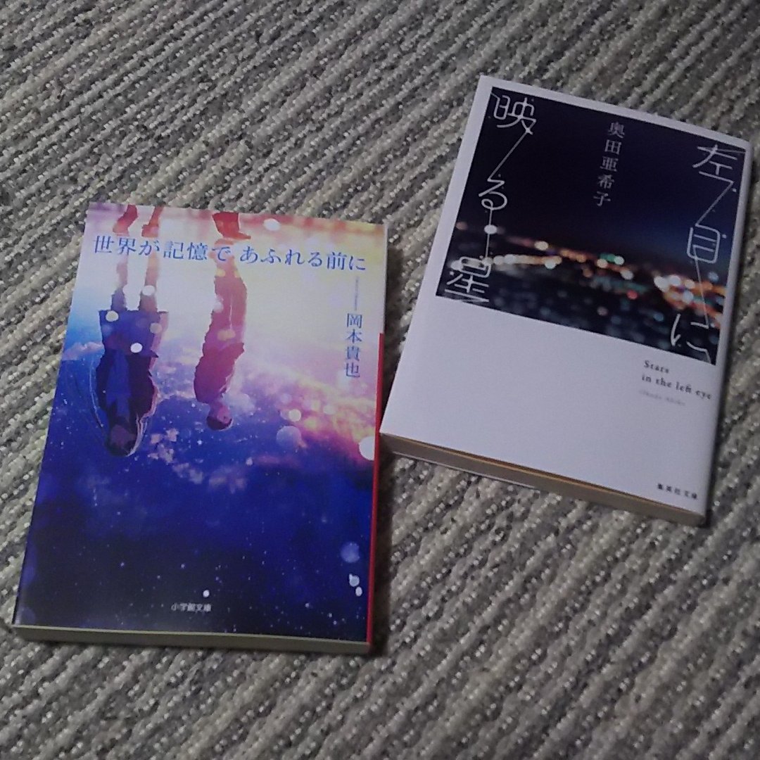 左目に映る星 左目に映る星