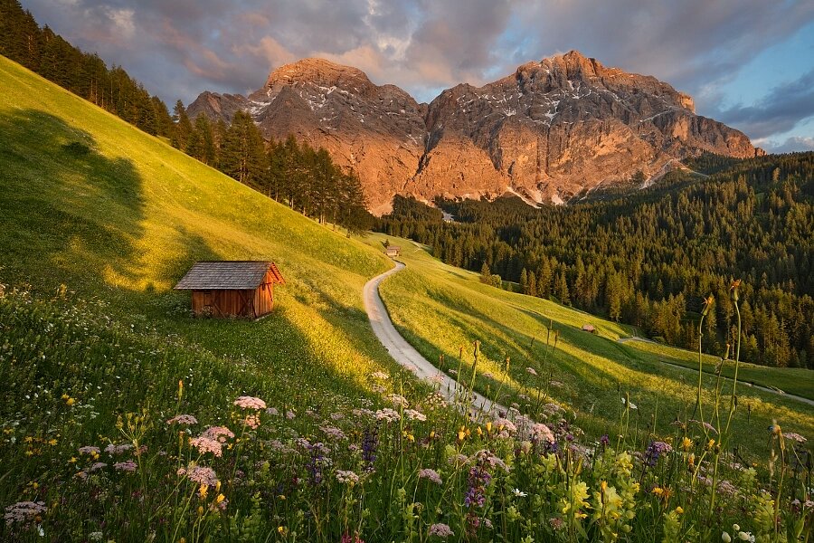 Evening in flowery Dolomites by Daniel Řeřicha