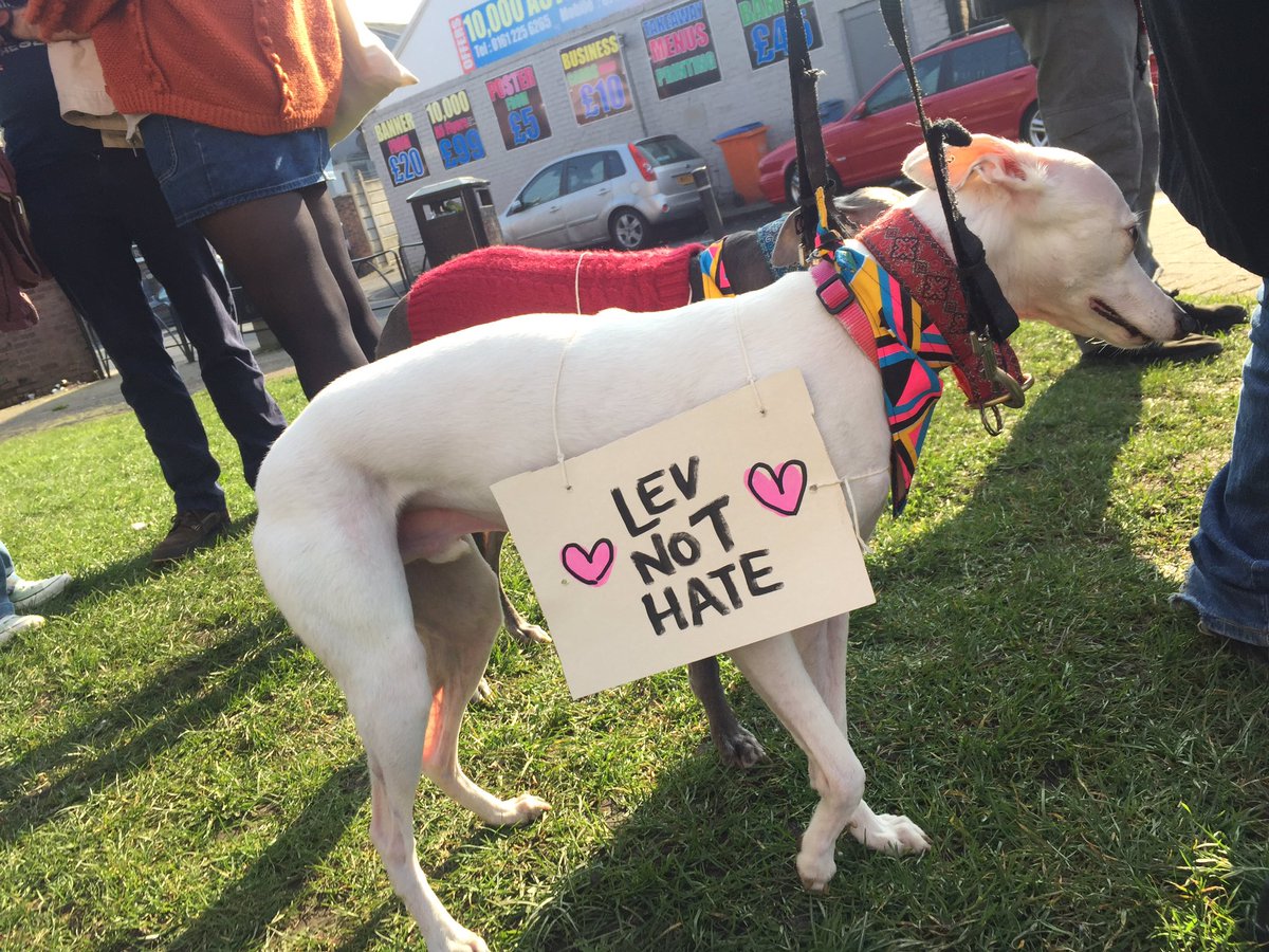 lauriepink's tweet photo. In further getting out and about news, today we joined a local protest, to support the message that hate has no place here. Not in Levenshulme, Manchester, or anywhere.
The good boys helped.
#LevNotHate #lovelevy #LoveLevenshulme #levenshulme #levenshulmelife #protestdogs https://t.co/nsGaU5nIFL