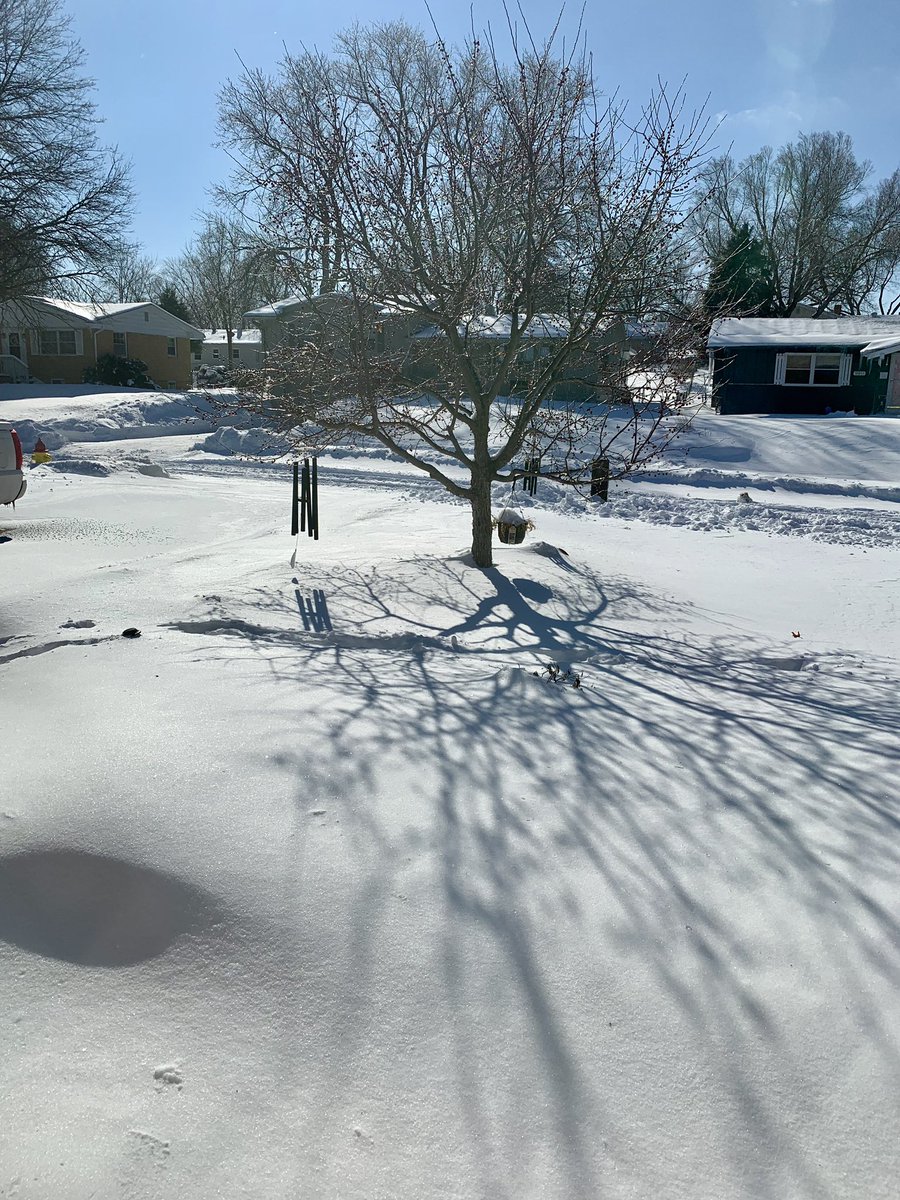 christiebeard's tweet photo. Not as bad of an aftermath as it could have been. Still, weโre tied for snowiest February on record for Omaha, with nearly a week still left and more snow on the way. Yay? ๐โ๏ธ #someoneinawarmclimatepleaseadoptme #winter #springcantcomesoonenough https://t.co/4rOep69T5t