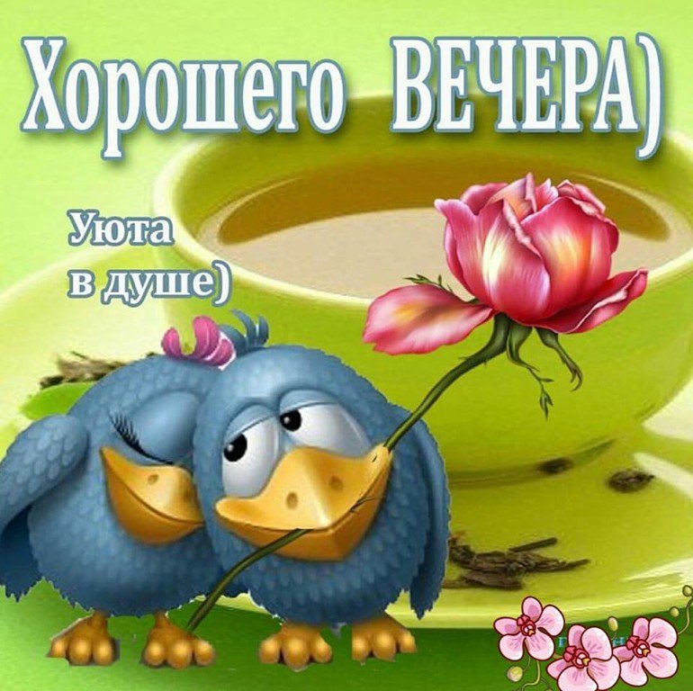Кошки, картинки смешной смайлик добрый вечер