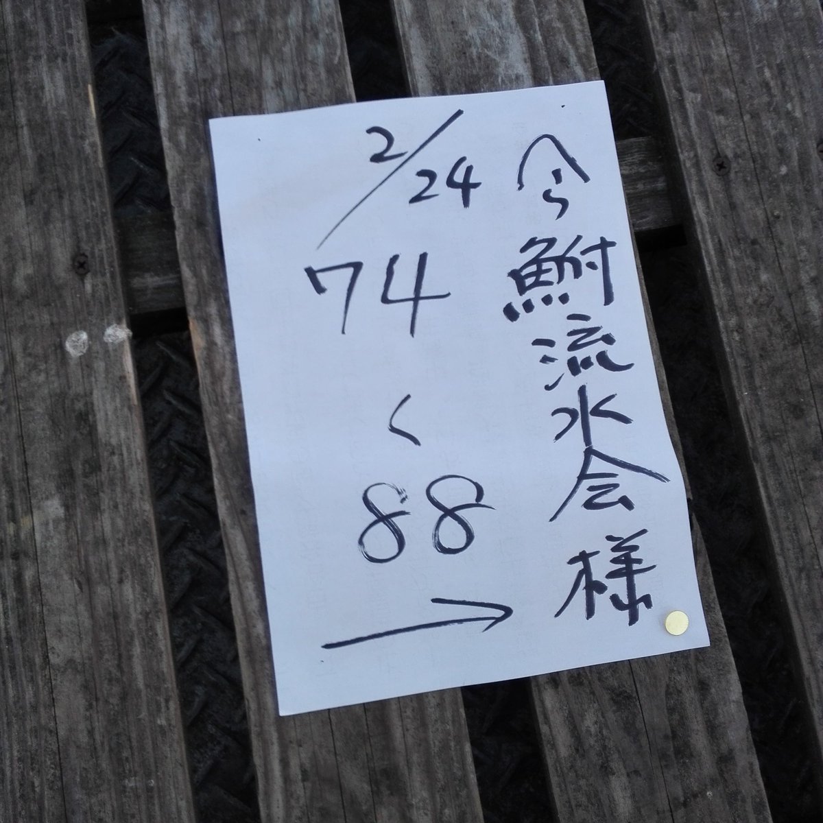 Her Buna Log ヘラログ 日 タックル ウキ クルージャン Wap 045 Pcムク B45mm 冬季浅ダナ 竿 Daiwa Hera S 道糸 バリバス 見える道糸 ハリス バリバス スーパーへらハリス 上針 オーナー リグル 下針 オーナー リグル バラケ 粒戦100