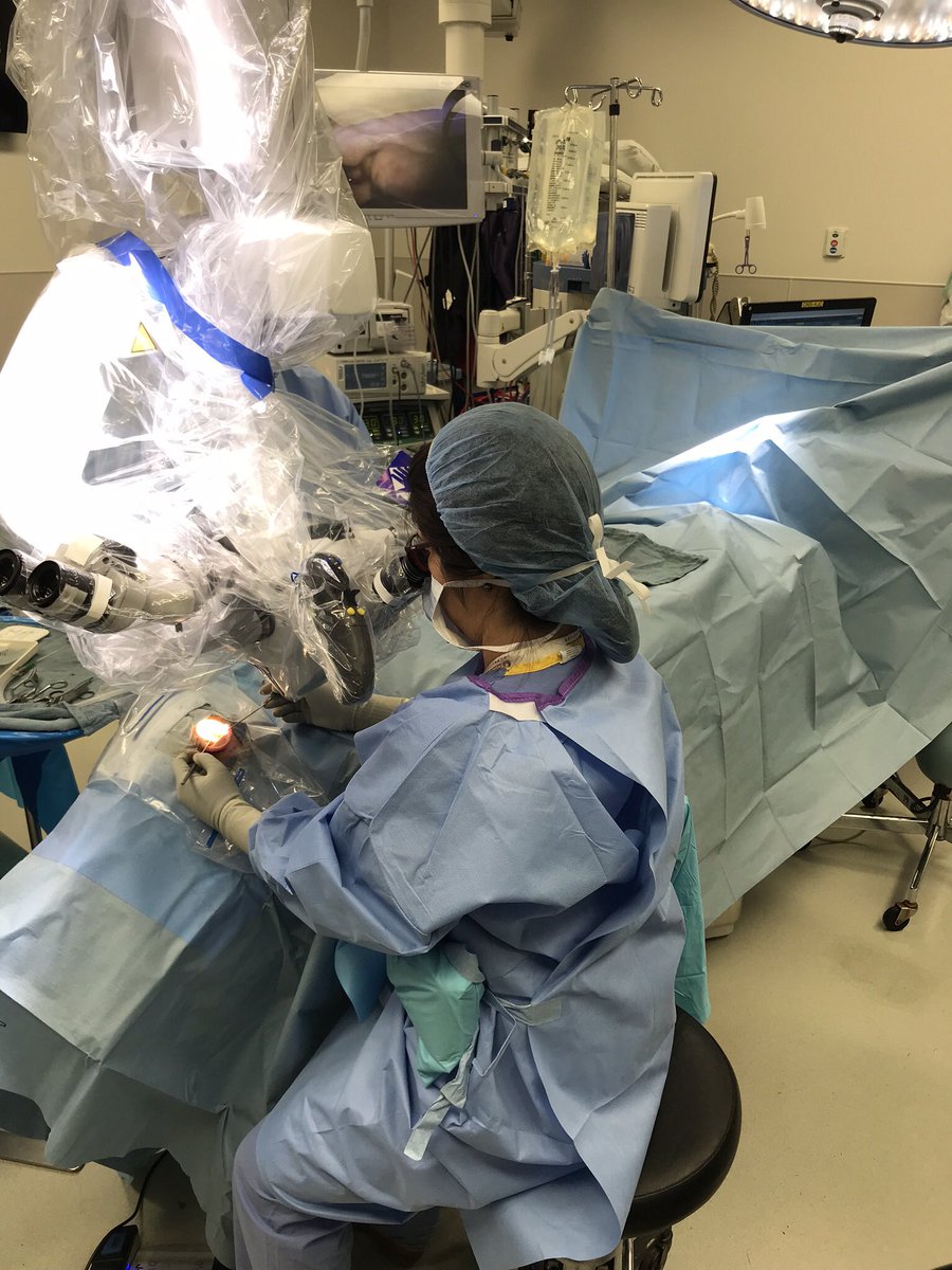 haynes_ear's tweet photo. Through research, innovation, and dedication to patient care, Vanderbilt has become one of the top Cochlear Implant destinations in the world. Happy #InternationalCochlearImplantDay #ICIDay19 https://t.co/jGjKv20AaZ