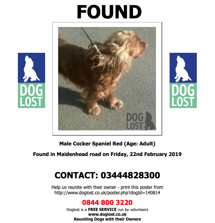DogLost.co.uk  
#FOUND  UNKNOWN  #DOG 
Male #CockerSpaniel  
#Windsor   #SL4  
Friday, 22nd February 2019   #FoundDog  doglost.co.uk/dog-blog.php?d…  <a href="/VetsGetScanning/">MakeChipsCount to Reunite Pets</a> <a href="/SAMPAuk_/">Stolen&Missing Pets</a>