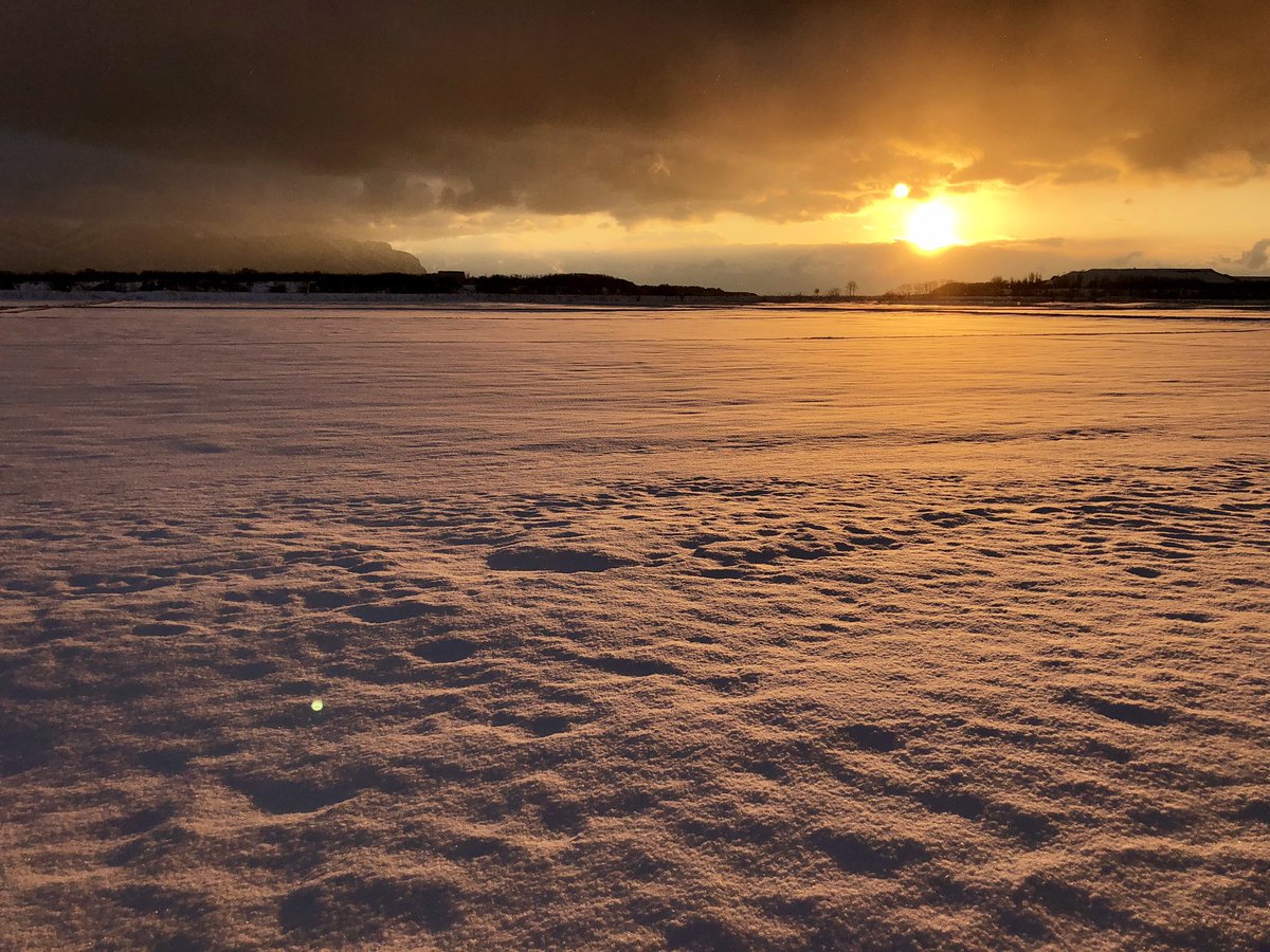 nikunokudo's tweet photo. February 22, 2019 https://t.co/gMMA6WxItU