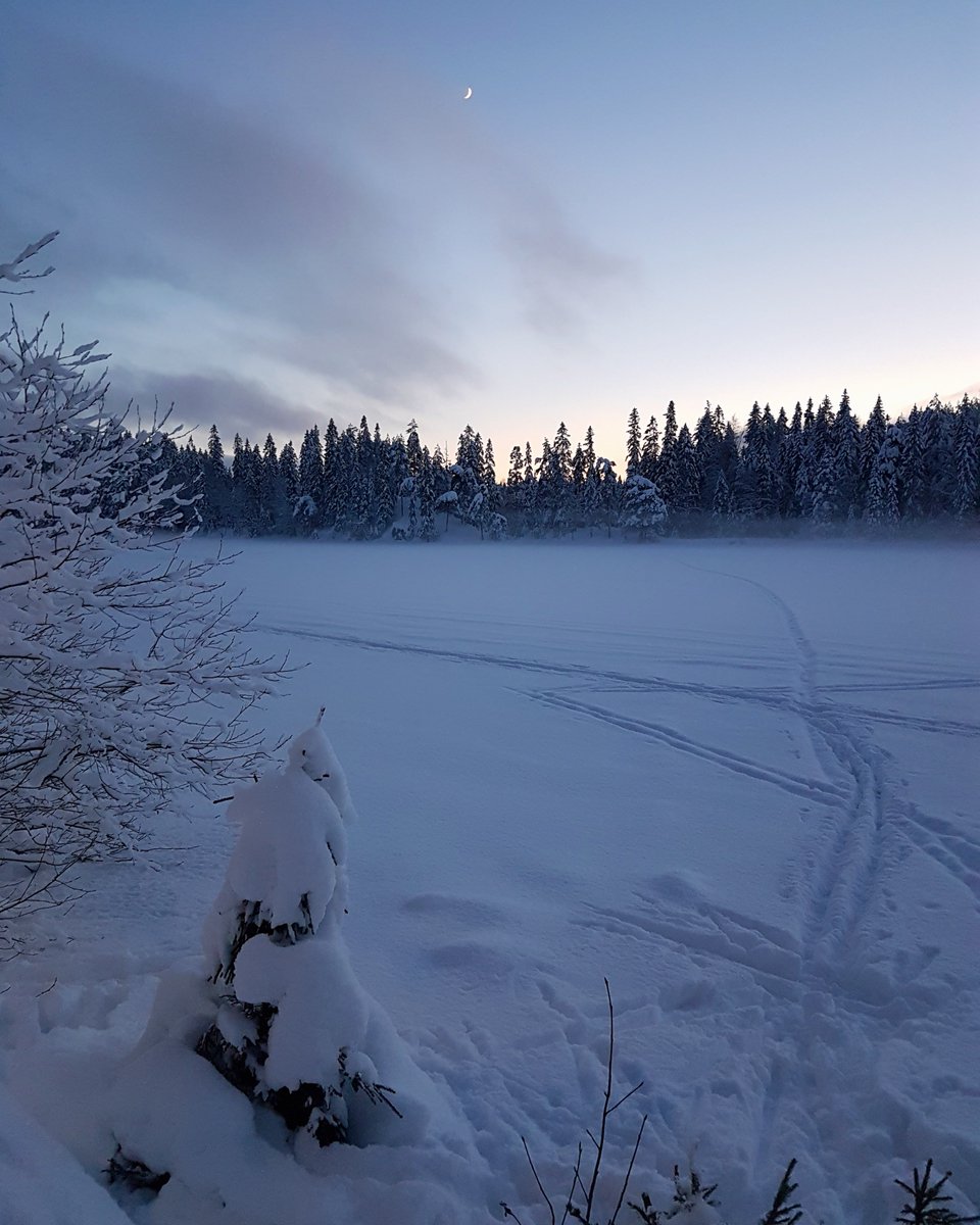 Variasjon av aktivitet er viktig for å holde seg aktiv og skadefri på lang sikt. I tillegg stimulerer det hjernen og er motiverende. Dagens tips er å sette deg som mål å prøve ut en ny aktivitet, kanskje noe du alltid har hatt lyst til å prøve. Kroppen vil takke deg!