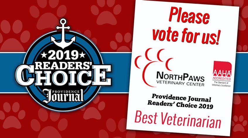 NorthPaws's tweet image. You helped us come in 2nd place two years in a row, let's make it to #1 this year! Voting for The Providence Journal​'s 2019 Readers' Choice Awards starts today. Please vote for NorthPaws at Best Veterinarian in the Services Category.
buff.ly/2TEzufI