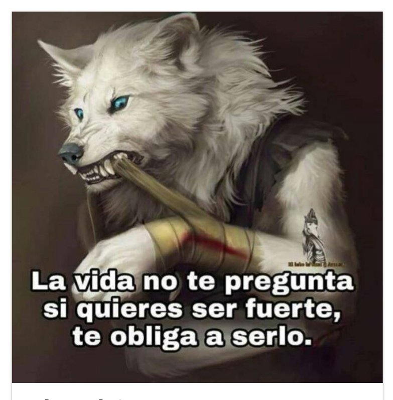 yzalguez's tweet photo. https://t.co/ebt62402vU