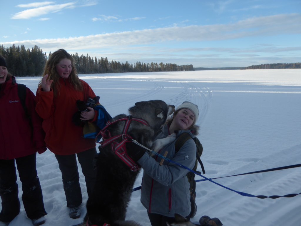 sweden20191's tweet photo. @STCadventures @kingdownschool https://t.co/NcRiIkkmAi