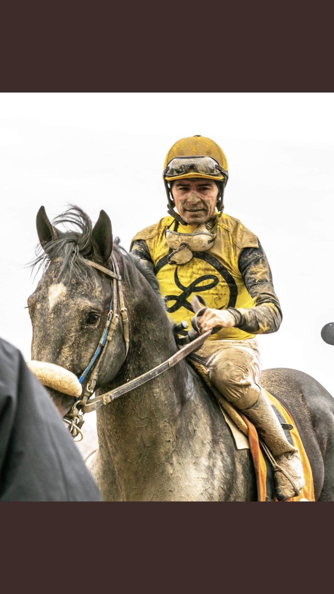 mjlstox1's tweet photo. #MUDBUDDIES #TriSaintLorenzo MSW Debut ! @ladererstables @RockyTimeFarm @FragosoPablo @Carlosm55367558 @alfonsito09 https://t.co/TOh71v3HmK