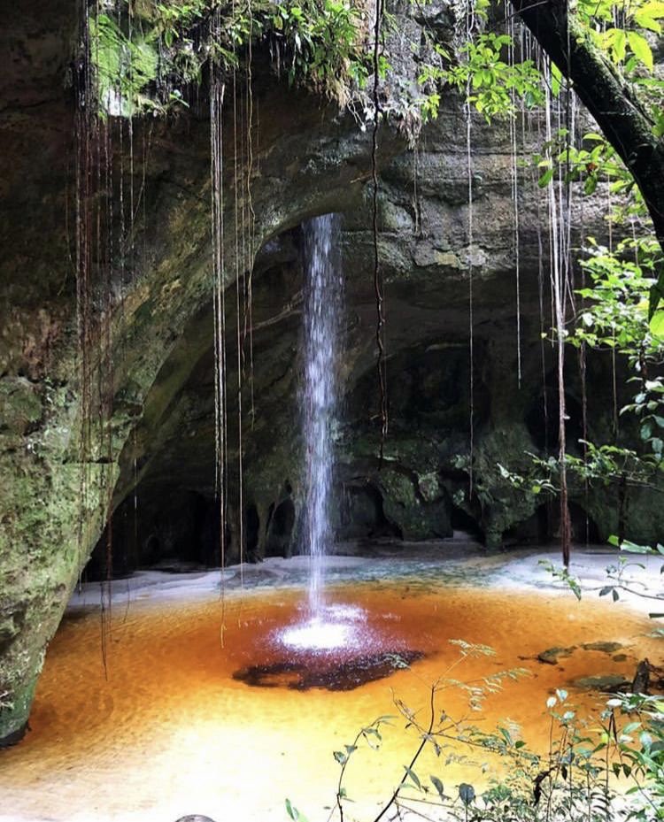 Renovar, reinventar, renascer!
Um feliz e abençoado domingo a todos nós! 🙏🏻💧
.
.
.
#BomDia #domingo #natureza #Amazônia #renovar #reiventar #renascer #cachoeira #Amazonas #GrutaDaJudeia #PresidenteFigueiredo #BoscoSaraiva
.
.
.
📷: Catharina Valente