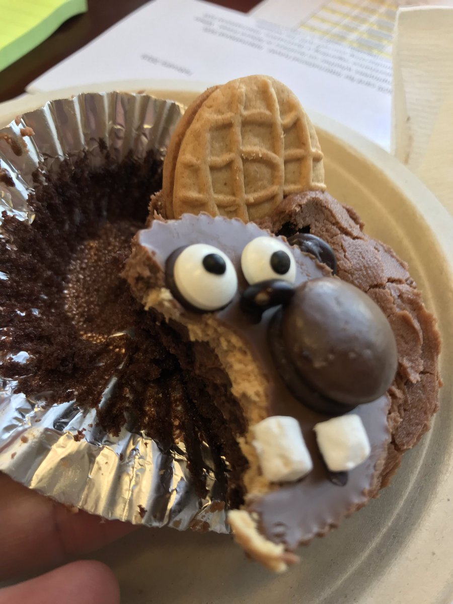 garethmckinley's tweet photo. Awesome @MIT themed #timthebeaver cupcakes to help lecture prep from my @mitmeche graduate student and 2.06 TA Crystal Owens https://t.co/khdSwULkSR