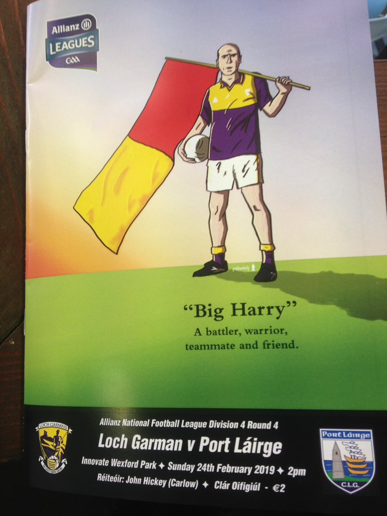OfficialWexGAA's tweet photo. A beautiful cover for today's programme from @yellowbelly_ie in @InnovateCloud Wexford Park as neighbors @WaterfordGAA visit for the Division 4 encounter  #BigHarry https://t.co/DNvfIAPAYA