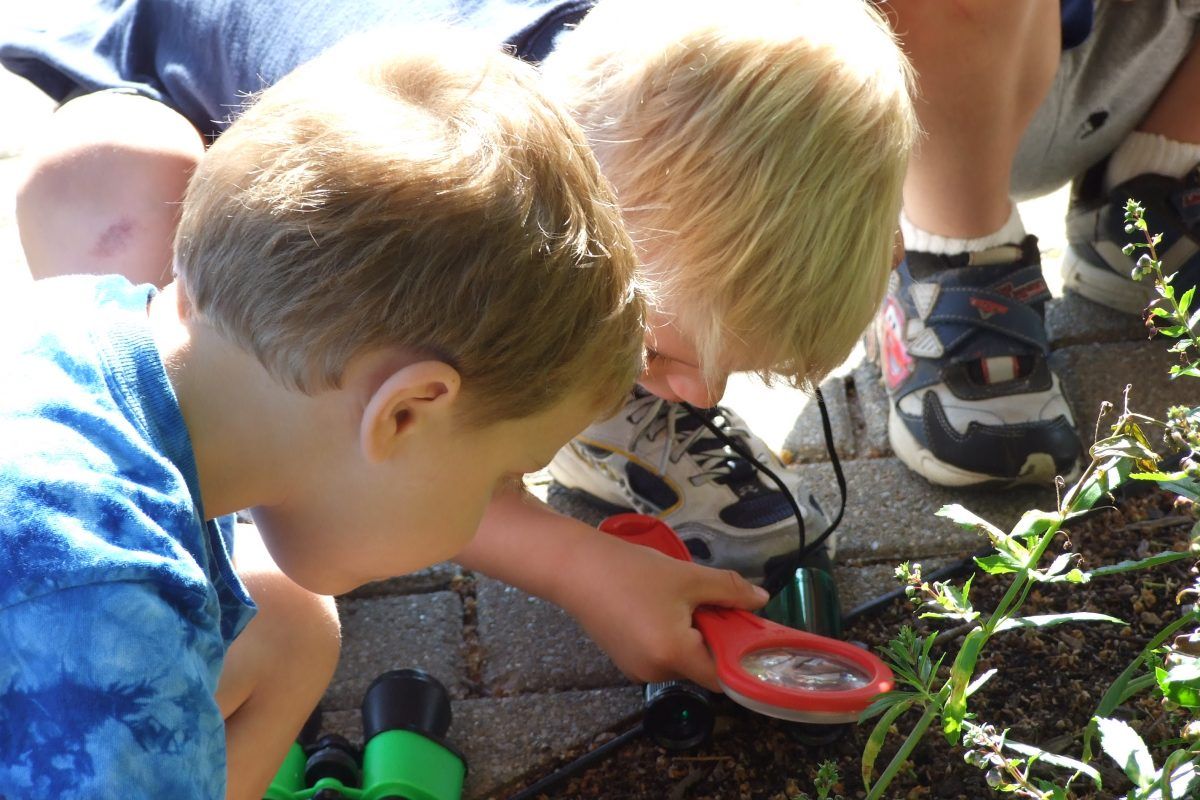 Did you know the Conservatory is a great place to see and practice your art skills? Bring your Tiger Scouts ans explore the Nature Art Studio to create with shapes and collage with natural material!
buff.ly/2ShFNop