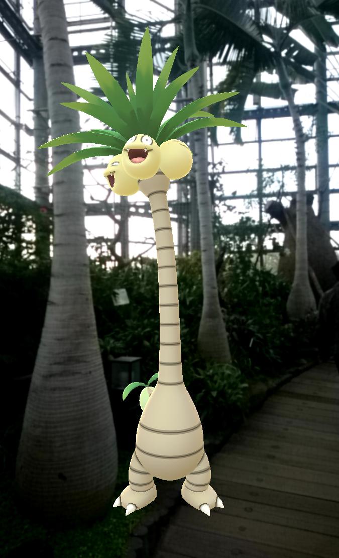 You 9523 咲くやこの花館 今日は無料解放日でした ポケモンgoで訪れた鶴見緑地でしたが 温室の中にも ポケモン発見 意外と楽しい あと ラフレシアも 咲くやこの花館 T Co 6tehdtq8ak Twitter