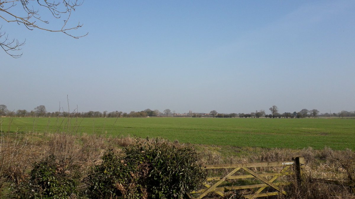 jenlrob's tweet image. Beautiful walk along Rufforth bridle path. In this scene were hare deer curlew &amp;amp; buzzard.  Also saw yammers long tail kestrel. Skylark singing everywhere.  #soundsofspring